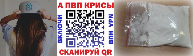 A PVP СК КРИС  OMG ONION  Великий Новгород 