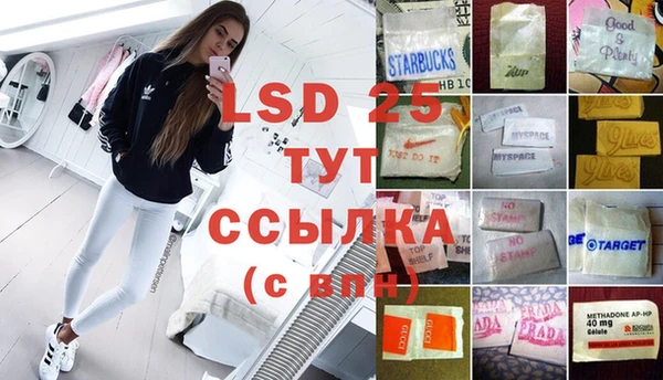 прущие грибы Абдулино