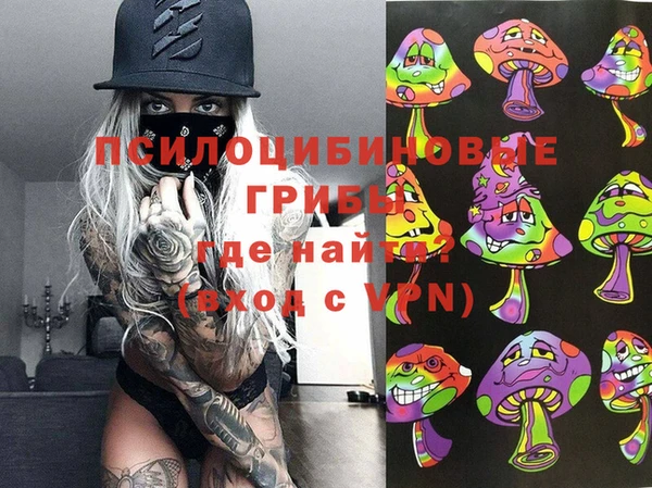 прущие грибы Абдулино