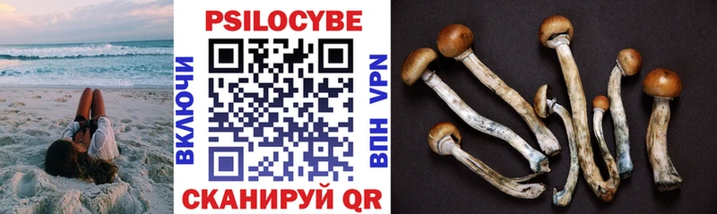 hydra как войти  Великий Новгород  Псилоцибиновые грибы Magic Shrooms  где продают  