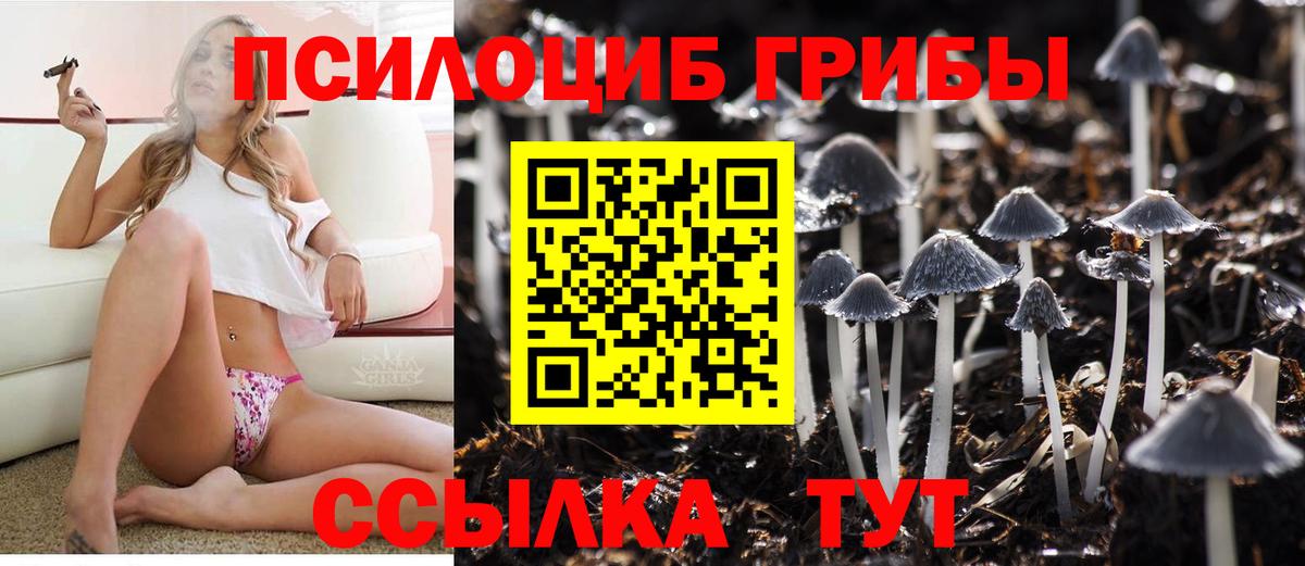 Великий Новгород  Галлюциногенные грибы Magic Shrooms  Вход с VPN 